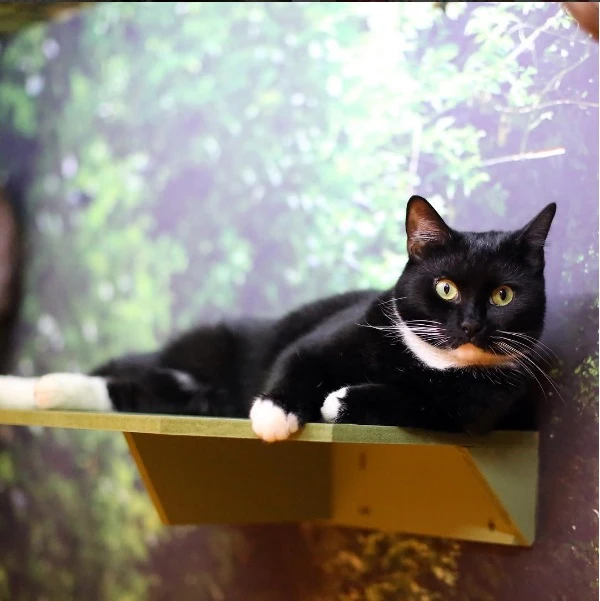 Fooding around: 5 θεματικά μέρη για να επισκεφτείς στο επόμενο ταξίδι σου