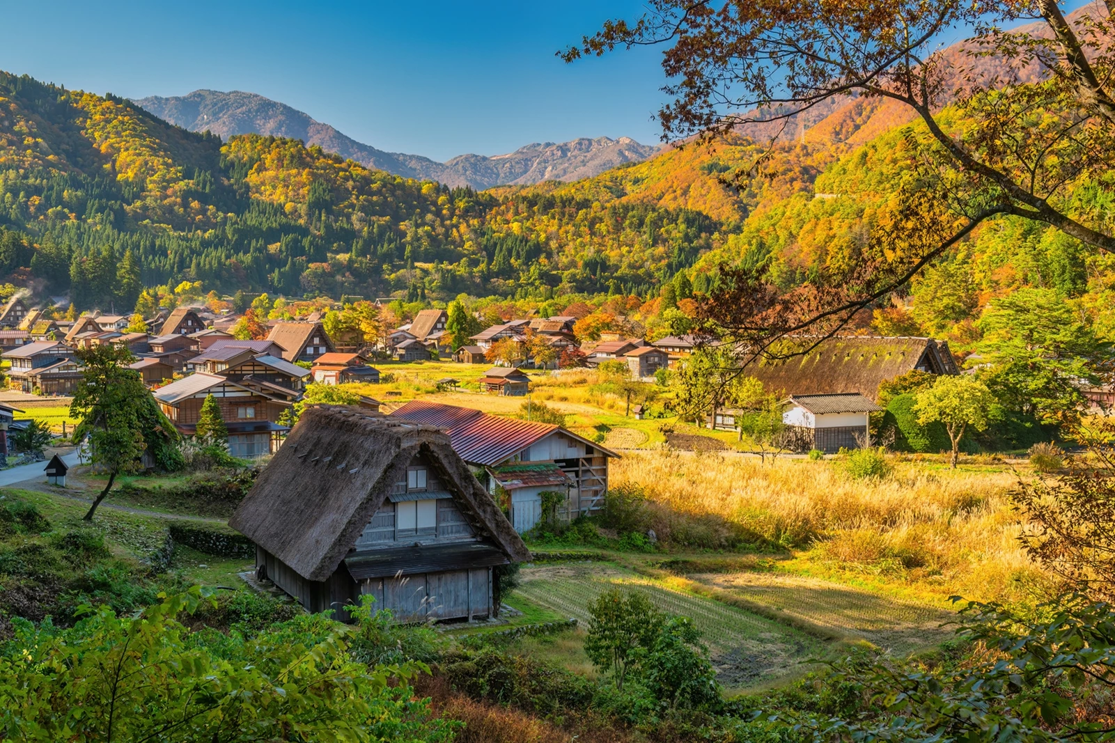 Shirakawa-go