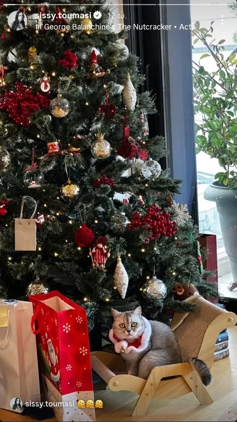 Η Σίσσυ Τουμάση στο χριστουγεννιάτικο σαλόνι της