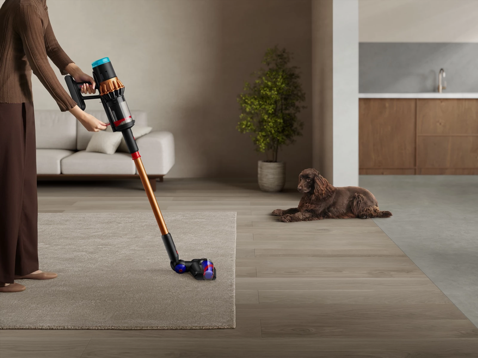 Dyson