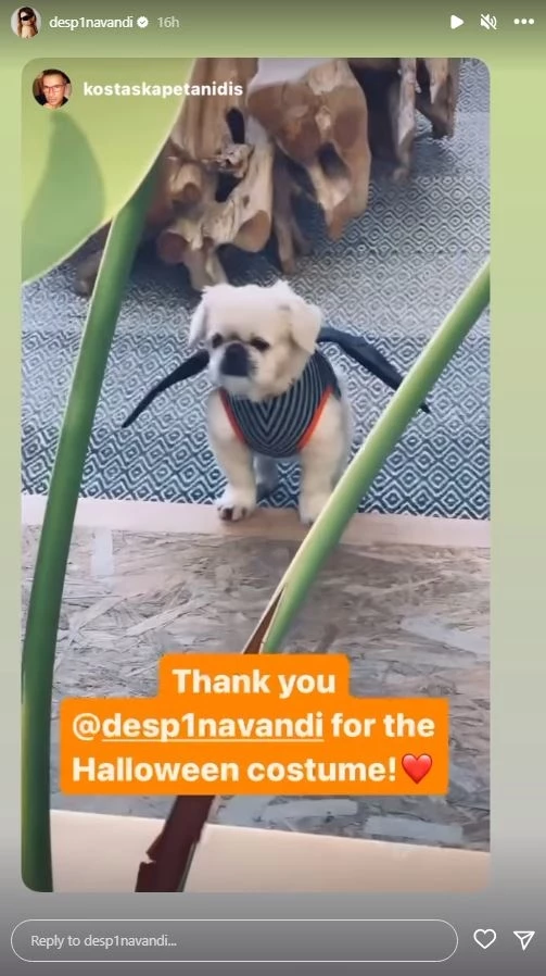 Tο δώρο που έκανε η Δέσποινα Βανδή στον κουμπάρο της