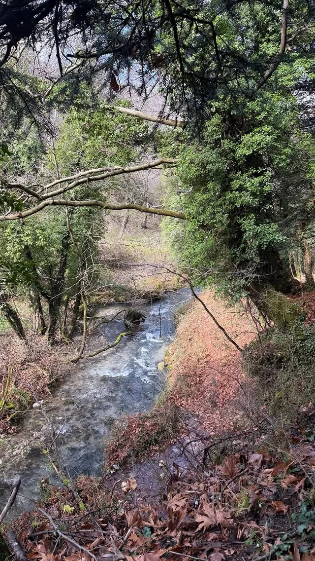 Η Τζένη Μπαλατσινού με τον γιο της στη φύση