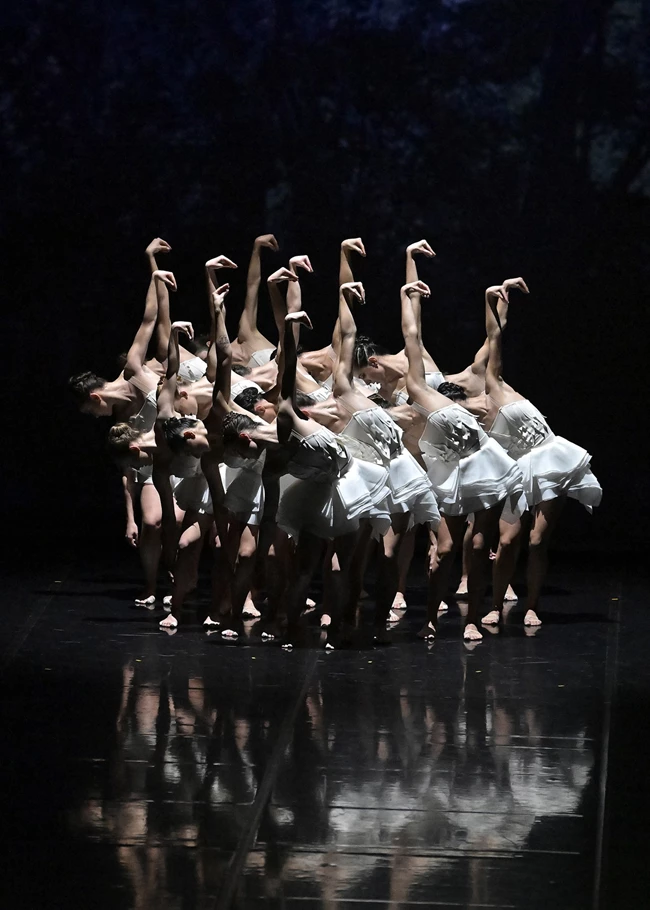 Ballets Preljocaj Η λίμνη των κύκνων | Μια σύγχρονη ανάγνωση του διάσημου κλασικού μπαλέτου από τον Angelin Preljocaj