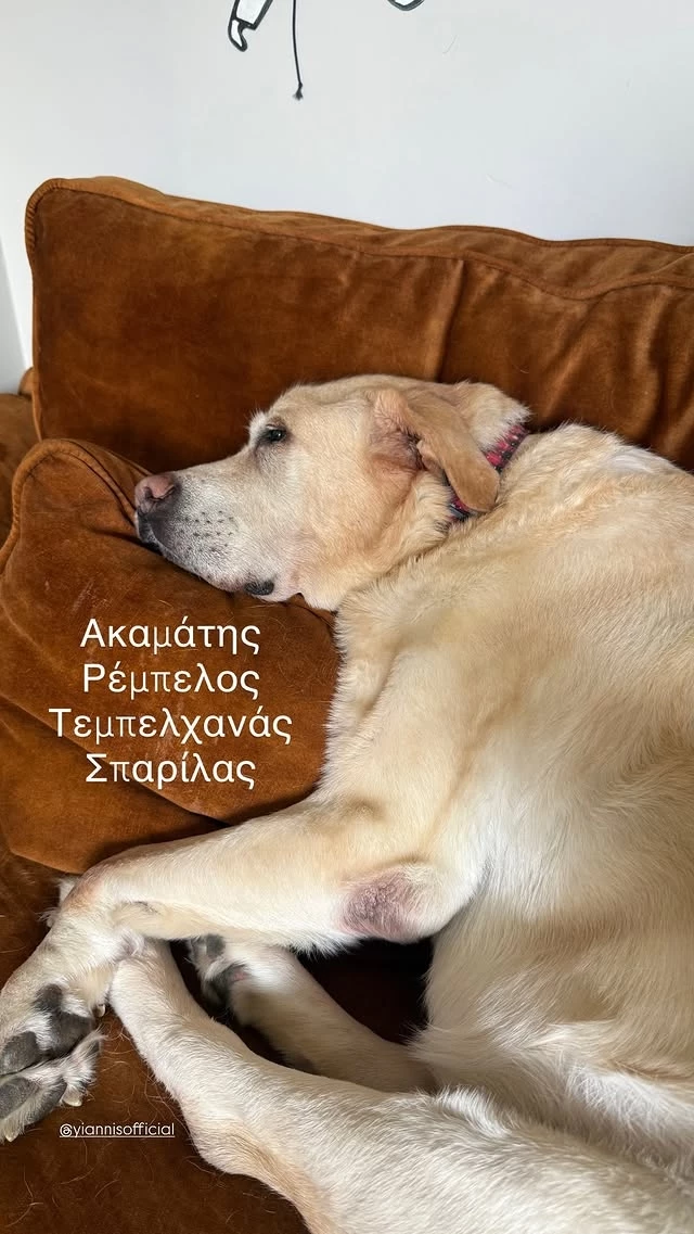 Η Σμαράγδα Καρύδη με τον σκύλο της