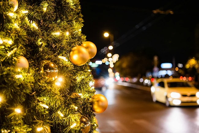 Η Αθήνα "πλημμύρισε" με φως και λάμψη στο κέντρο και στις γειτονιές | Φαντασμαγορική η φωταγώγηση του Χριστουγεννιάτικου Δέντρου στην Πλατεία Συντάγματος