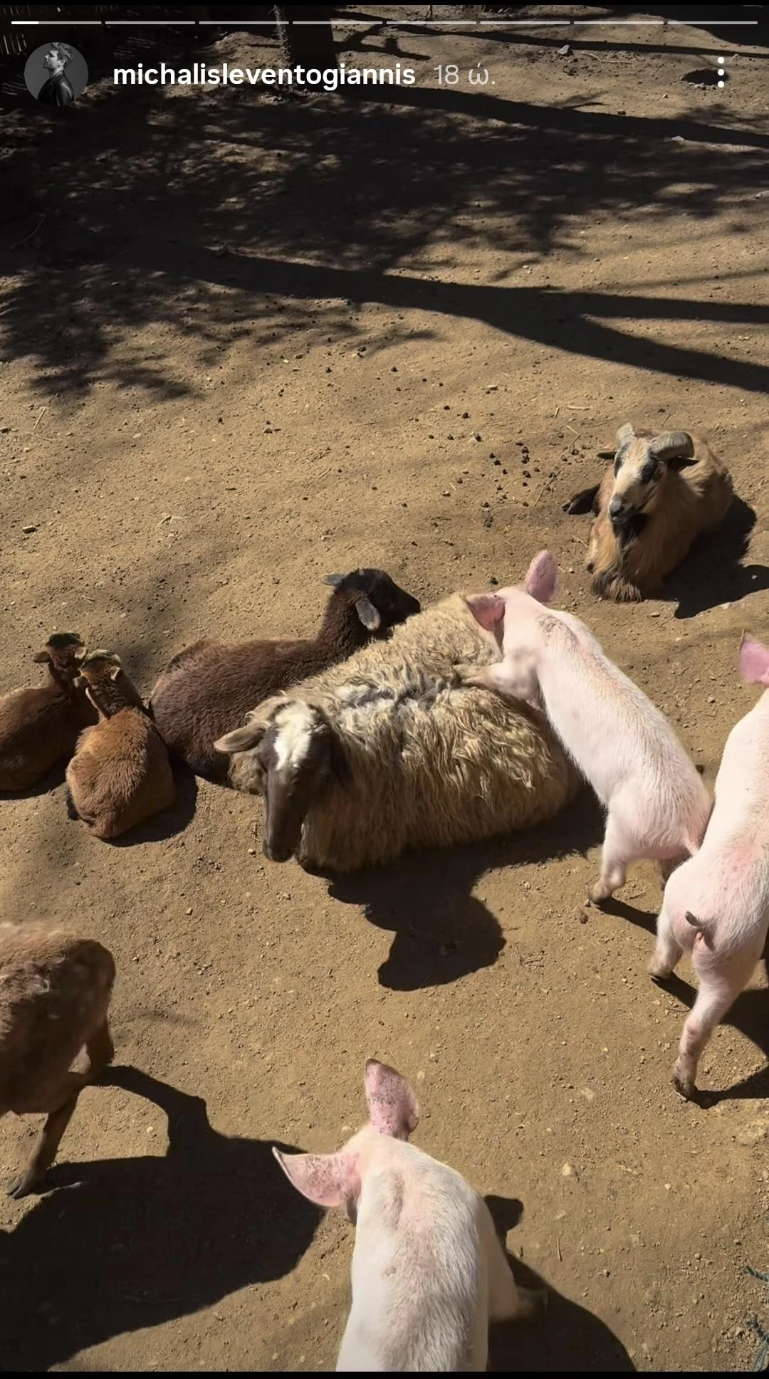 Η απόδραση του Μιχάλη Λεβεντογιάννη στην Παύλιανη