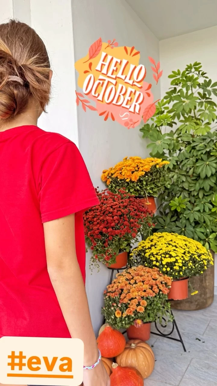 Εύα Τσιμιτσέλη