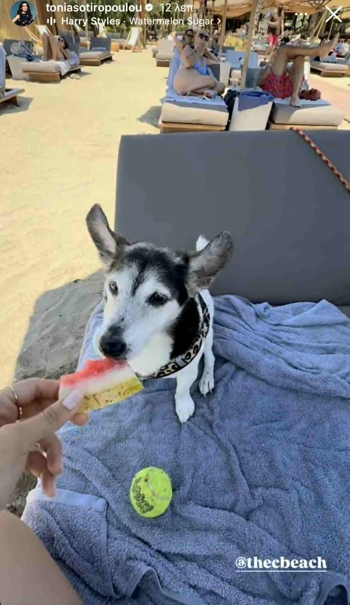 Τόνια Σωτηροπούλου | Για βουτιές με την αγαπημένη της παρέα στο "Τhe C beach bar"