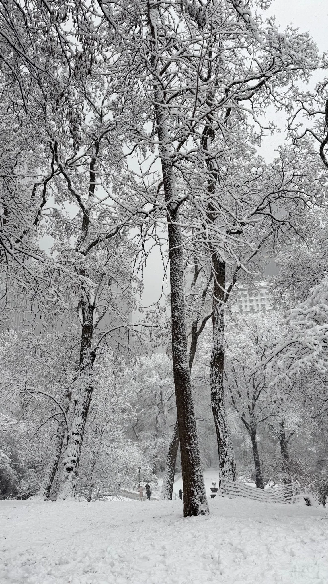 Αλεξάνδρα Κωστοπούλου