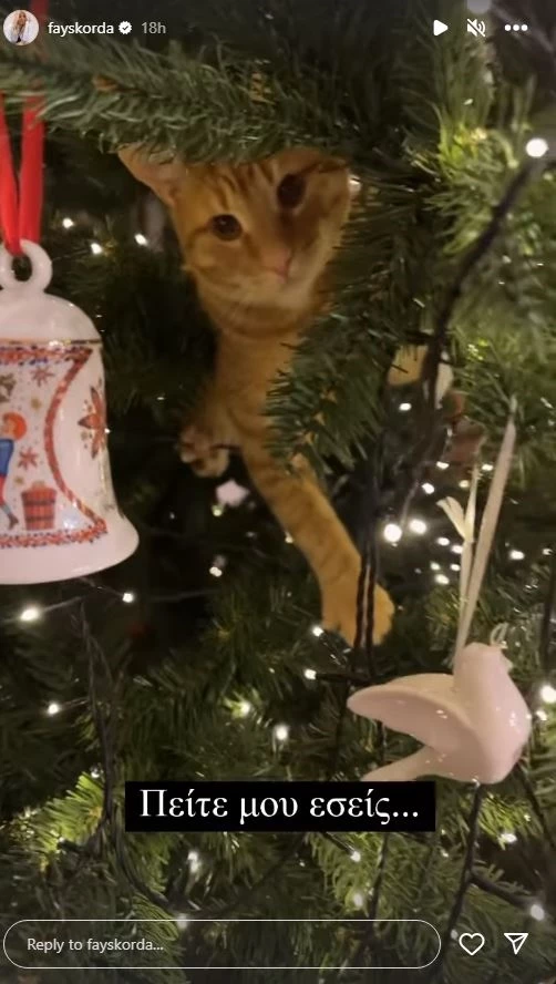 Φαίη Σκορδά | Η έκπληξη που την περίμενε στο χριστουγεννιάτικο δέντρο της - "Πείτε μου εσείς"