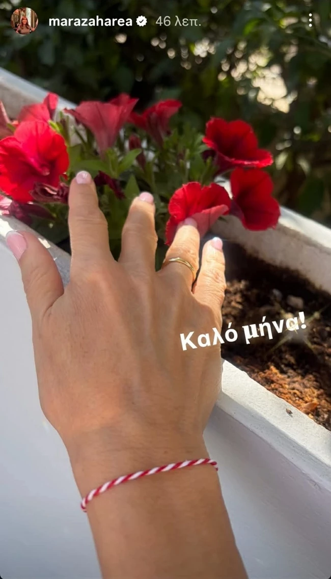 μάρα γελλλικα