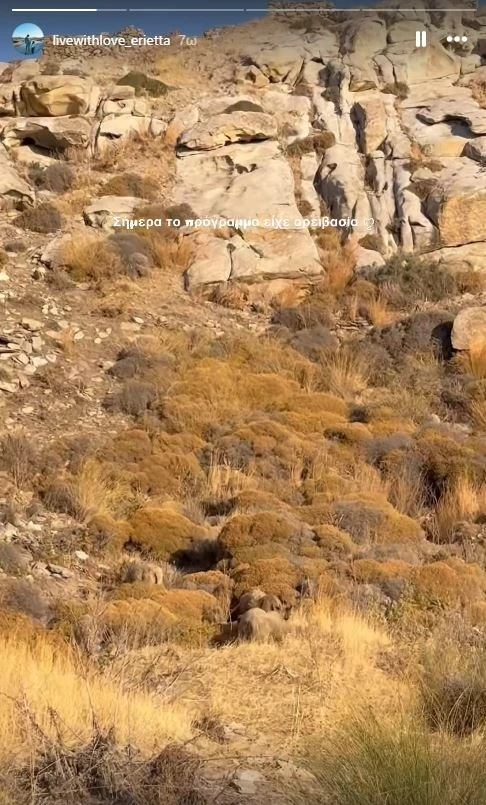 Εριέττα Κούρκουλου Λάτση
