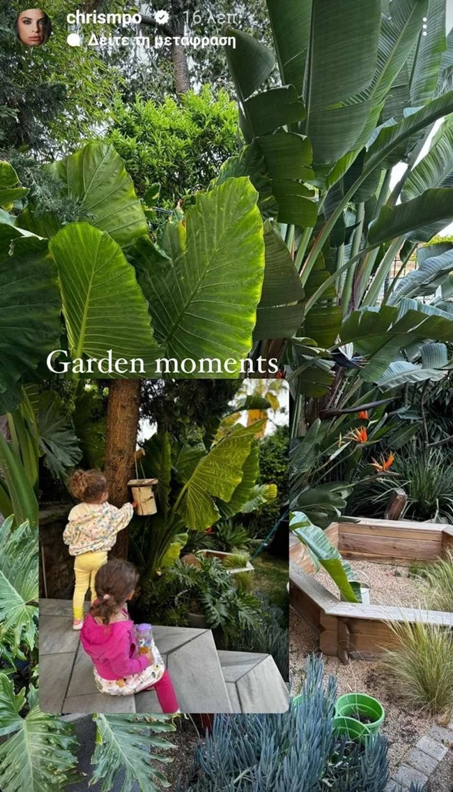 Σαν να βγήκε από το Pinterest | Ο καταπράσινος κήπος της Χριστίνας Μπόμπα και του Σάκη Τανιμανίδη
