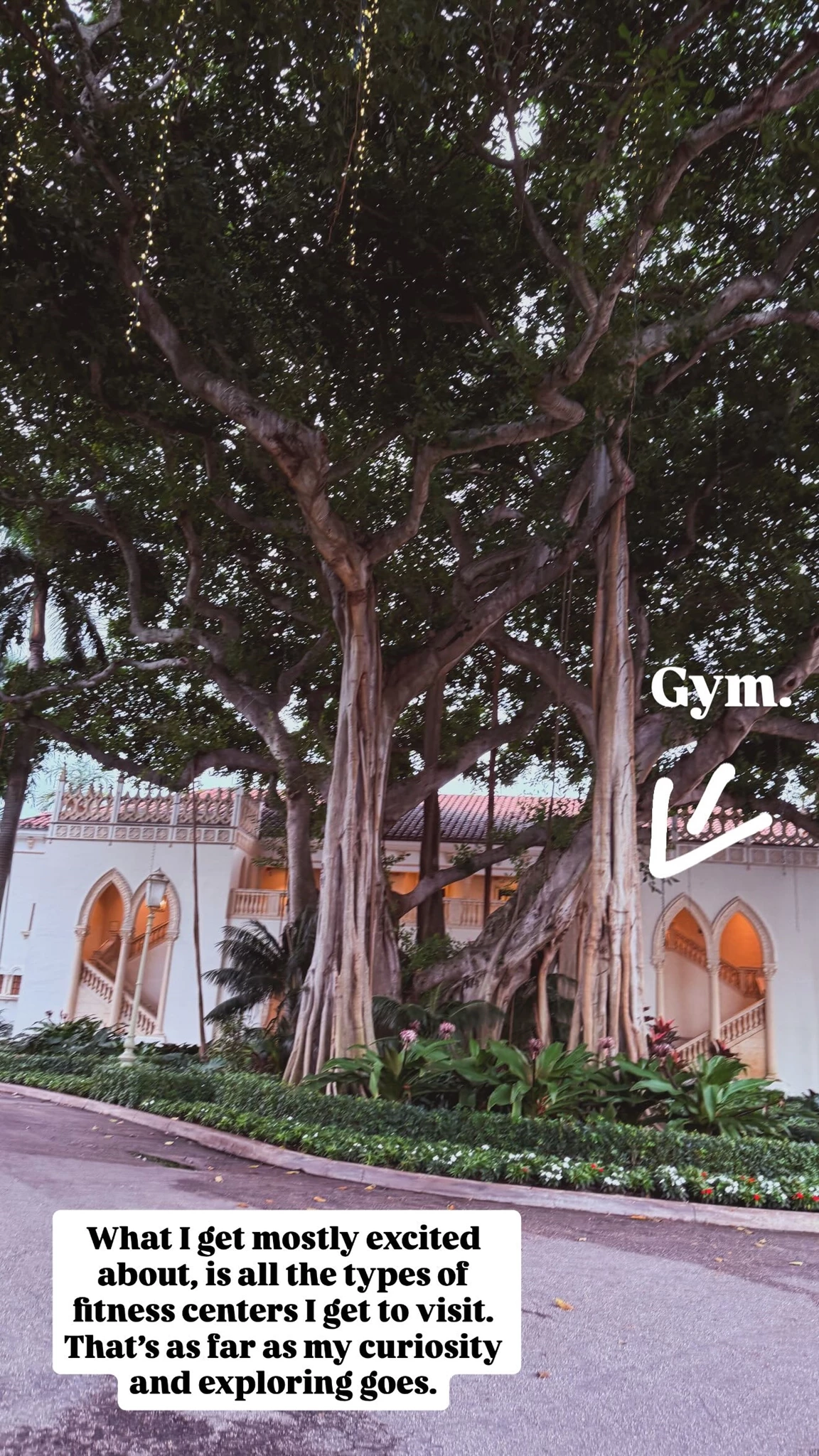 Σοφία Καρβέλα