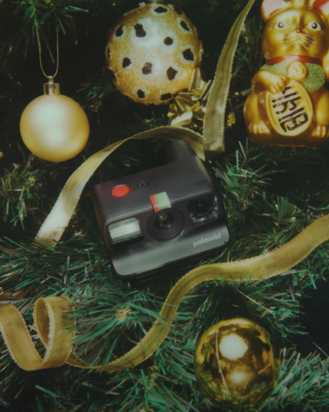 Polaroid