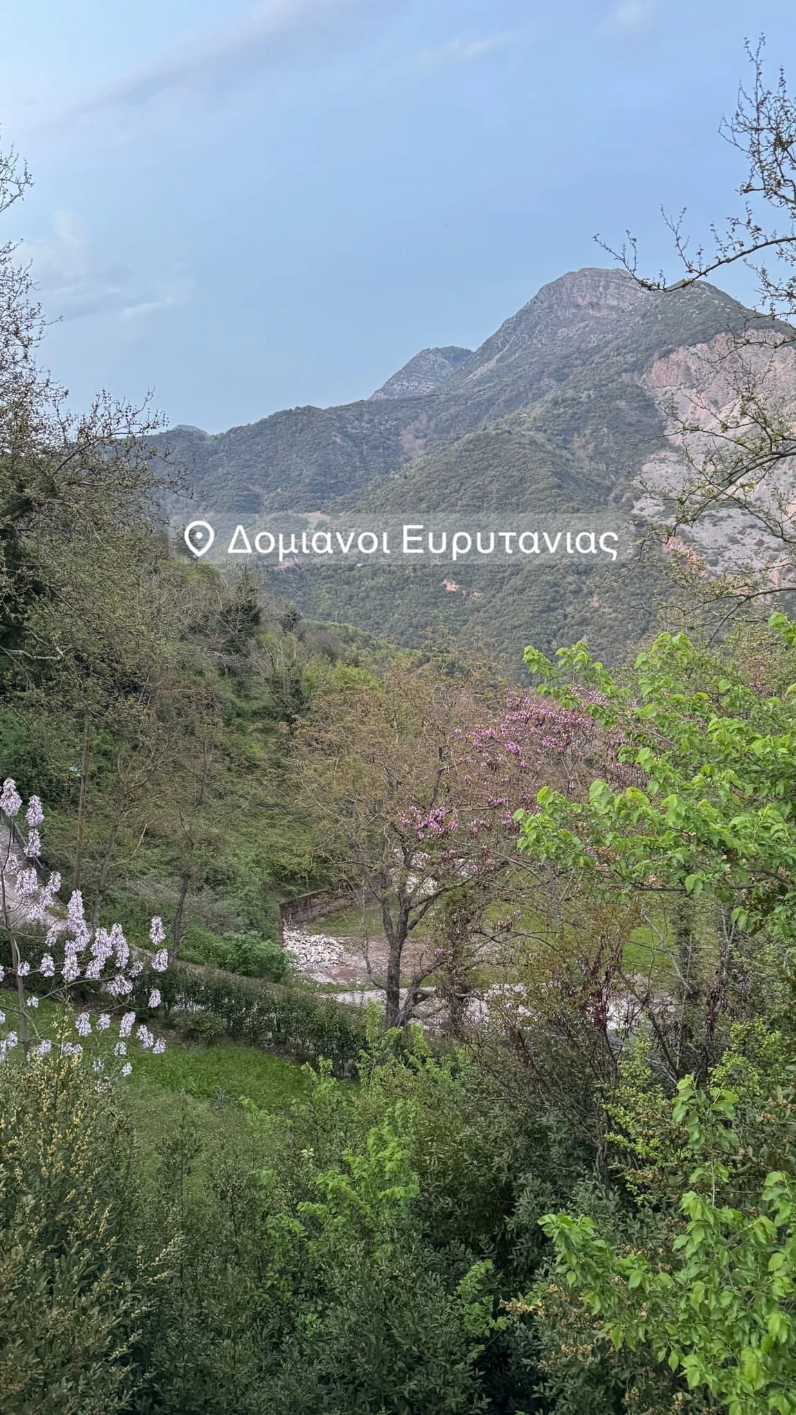 Σία Κοσιώνη