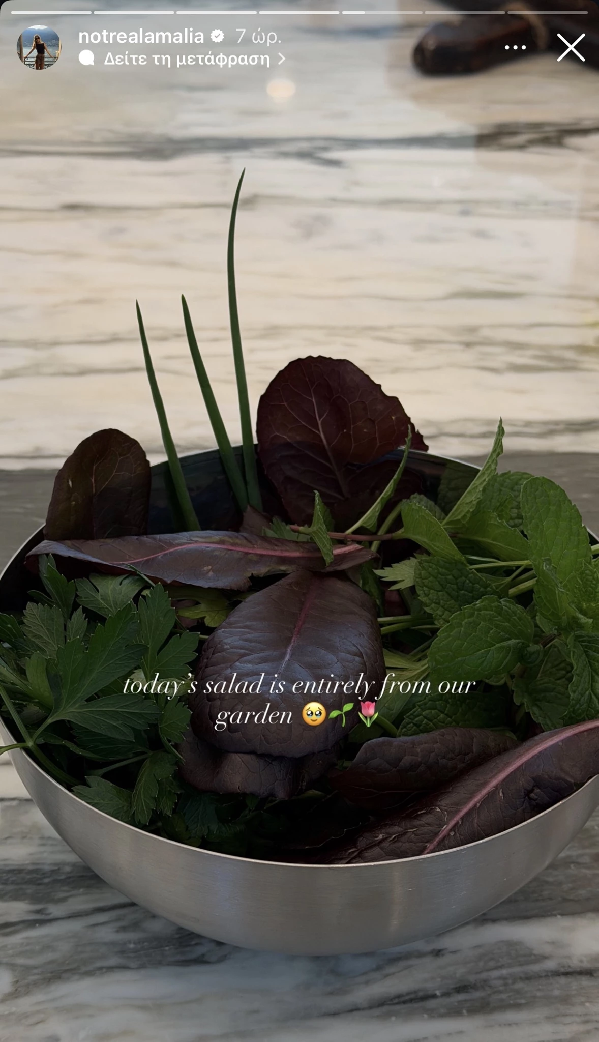 Η Αμαλία Κωστοπούλου έφτιαξε την πιο νόστιμη σαλάτα με λαχανικά από τον κήπο της στο Τέξας