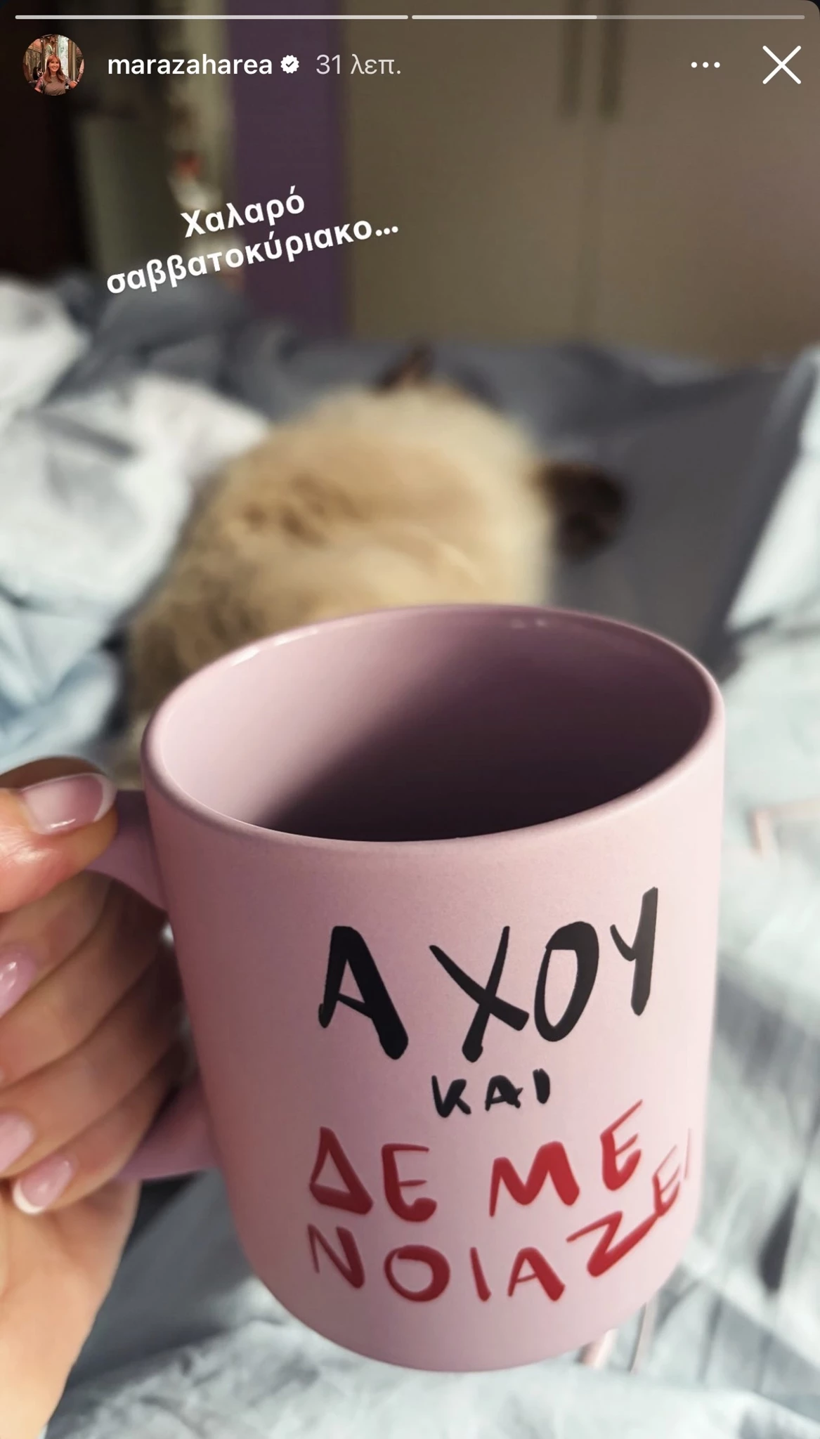 Η Μάρα Ζαχαρέα σε χαλαρές στιγμές | Πέρασε το ΣΚ της με τον καλύτερο τρόπο