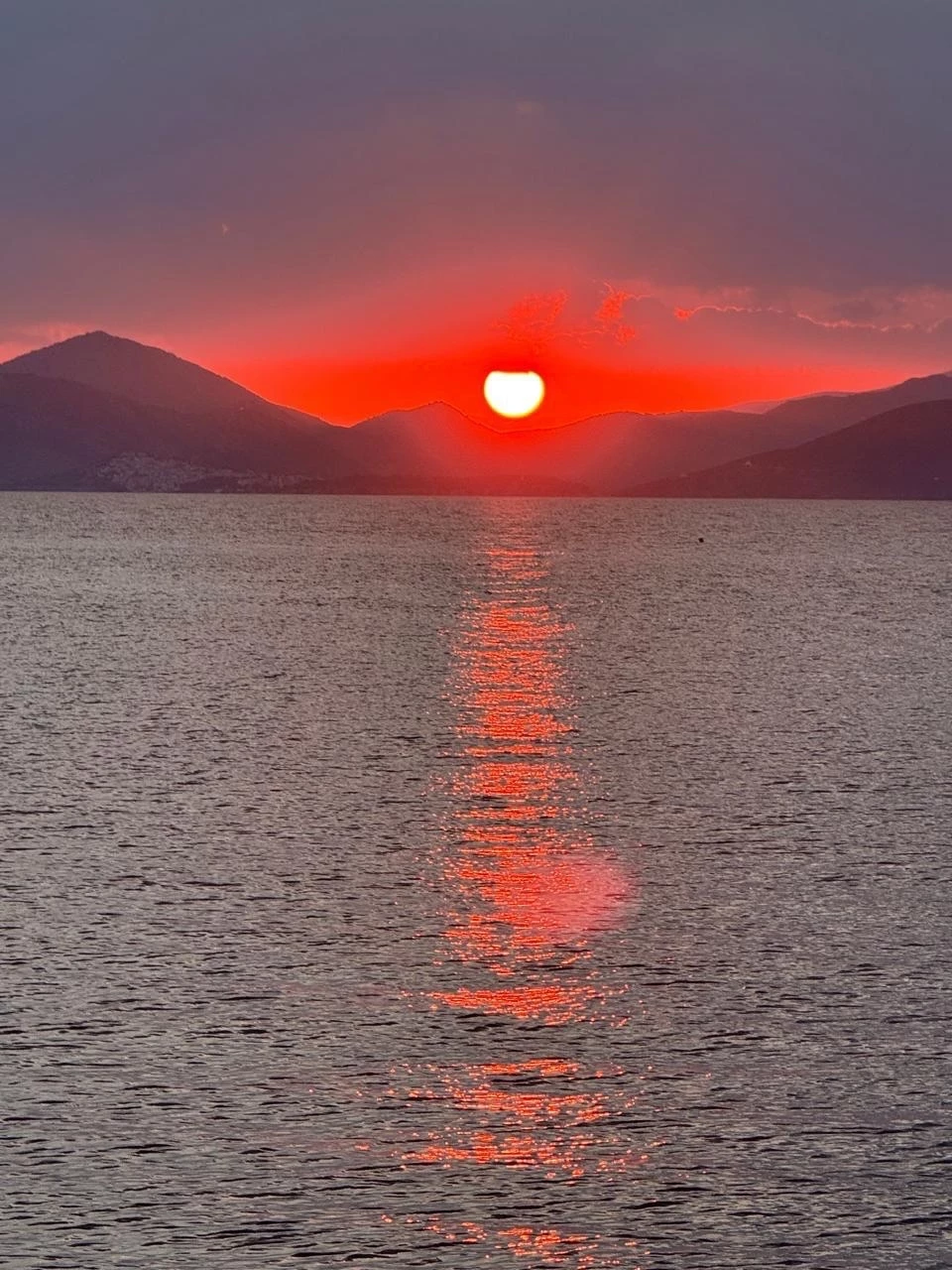 Τατιάνα Στεφανίδου