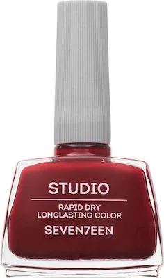 Studio Rapid Dry Lasting Color (142), Seventeen