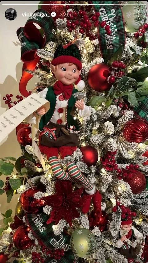 Το στολισμένο σαλόνι της Βίκυς Καγιά