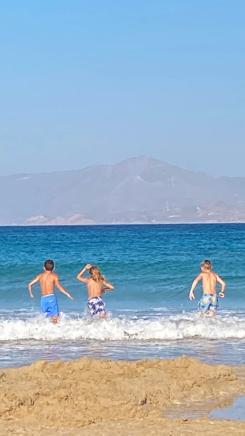 Αρίωνας Κατσούλης