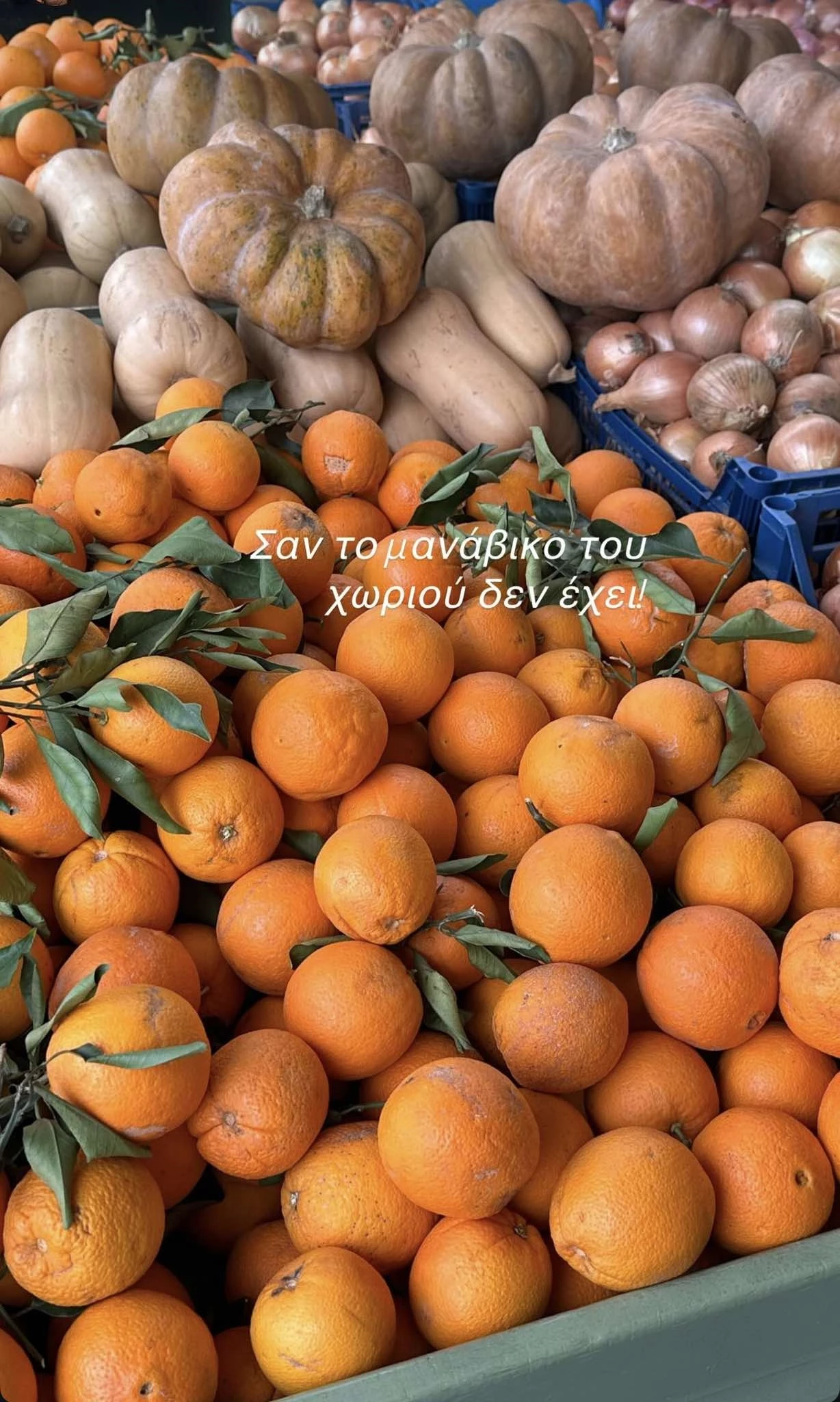 Μάρα Ζαχαρέα | Πού την εντοπίσαμε να αγοράζει τα αγαπημένα της προϊόντα