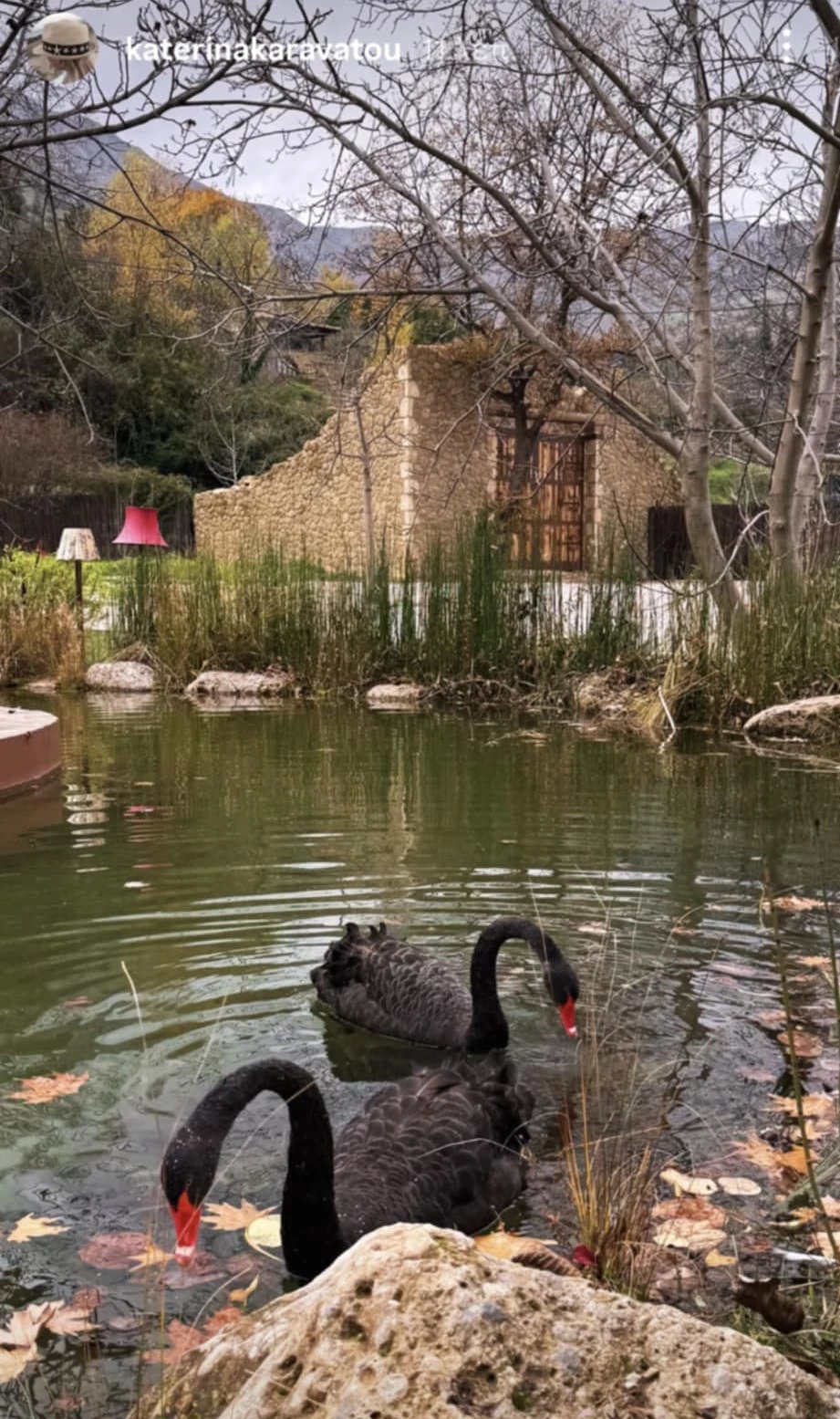 Κατερίνα Καραβάτου