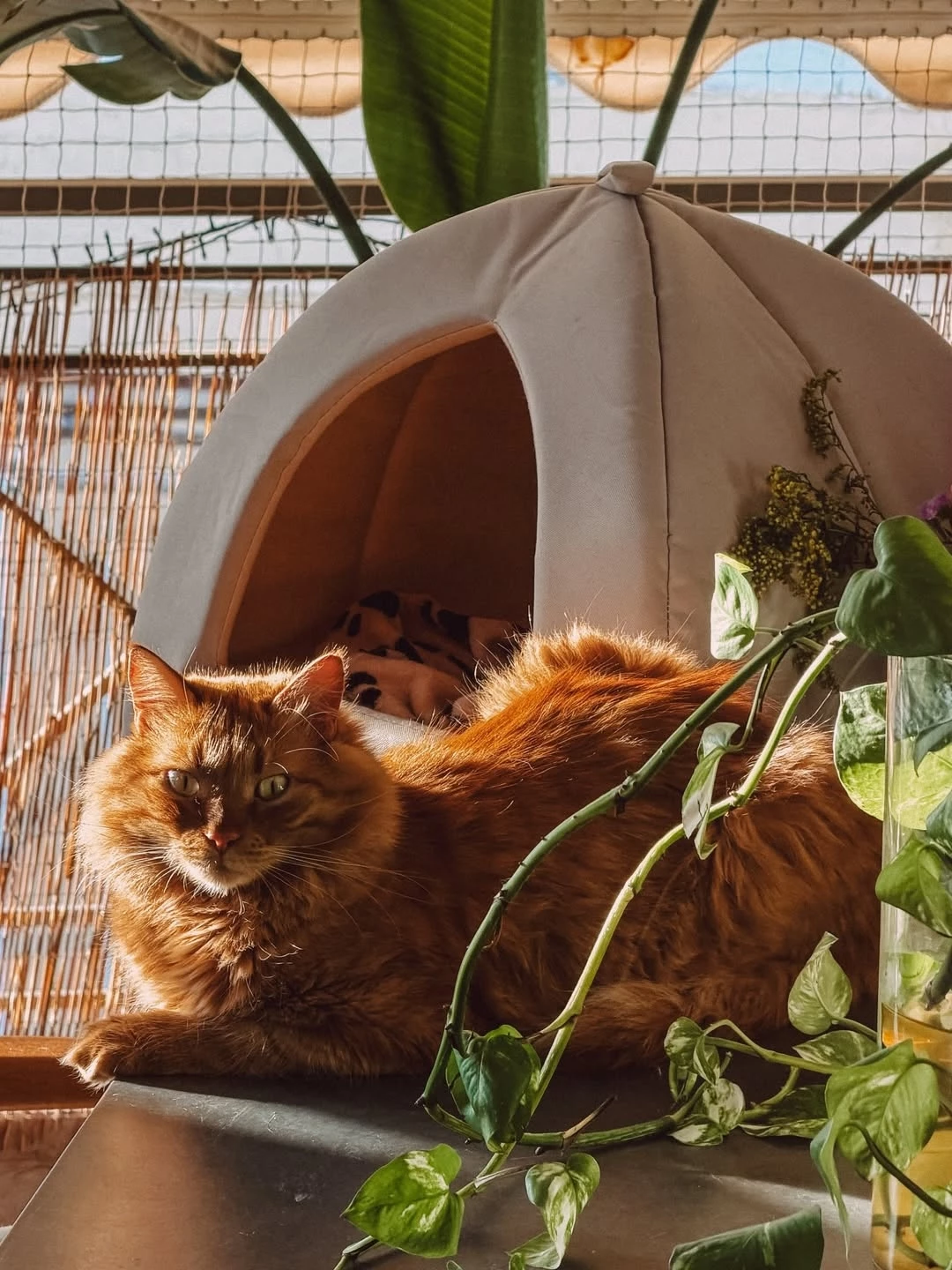 Ευρυδίκη Βαλαβάνη