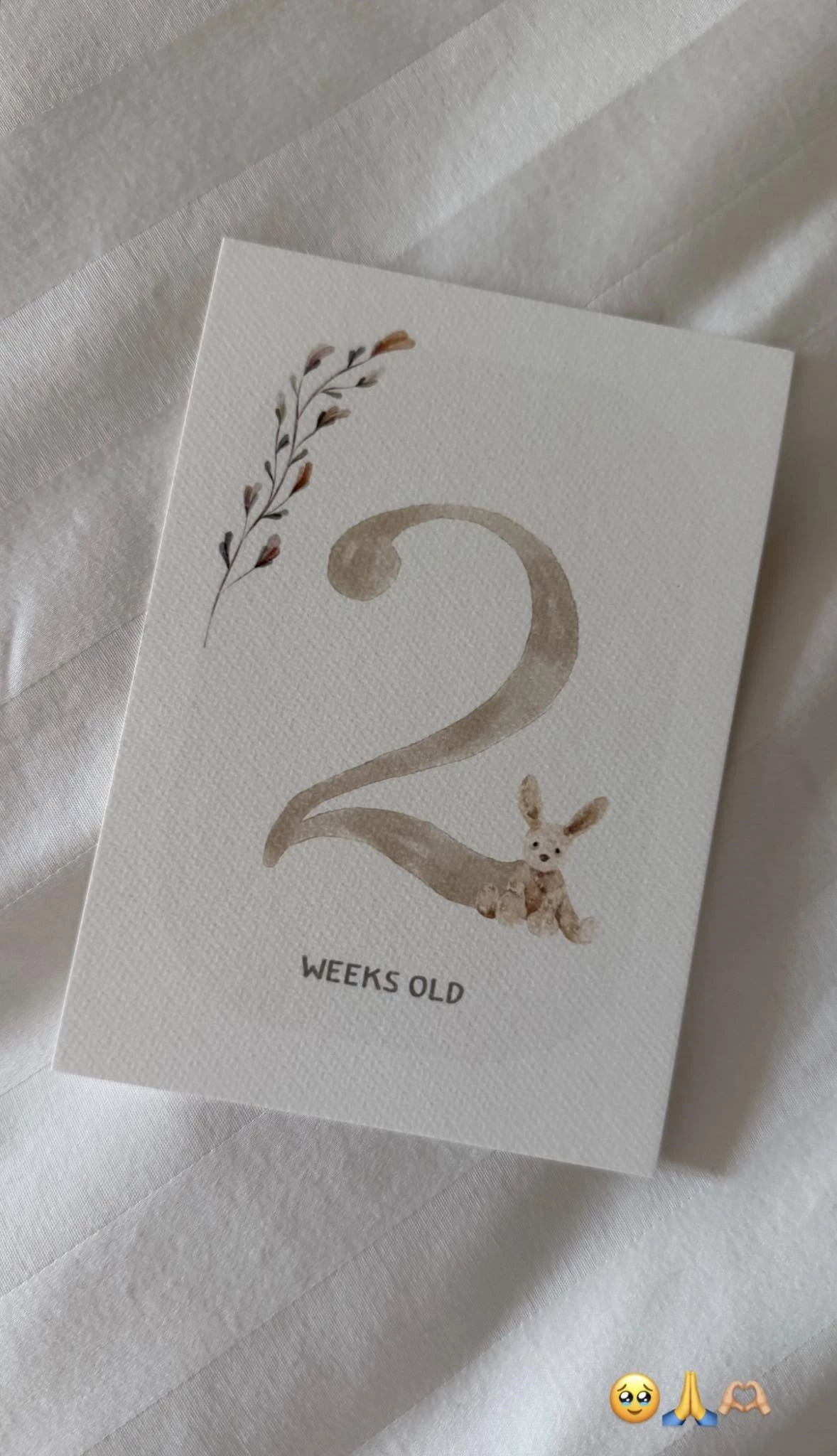 Δύο εβδομάδες με την Ξένια | Η τρυφερή ανάρτηση της Κατερίνας Καινούργιου