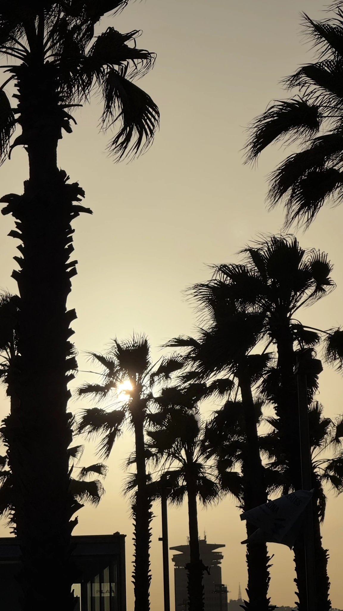 Ντορέττα Παπαδημητρίου