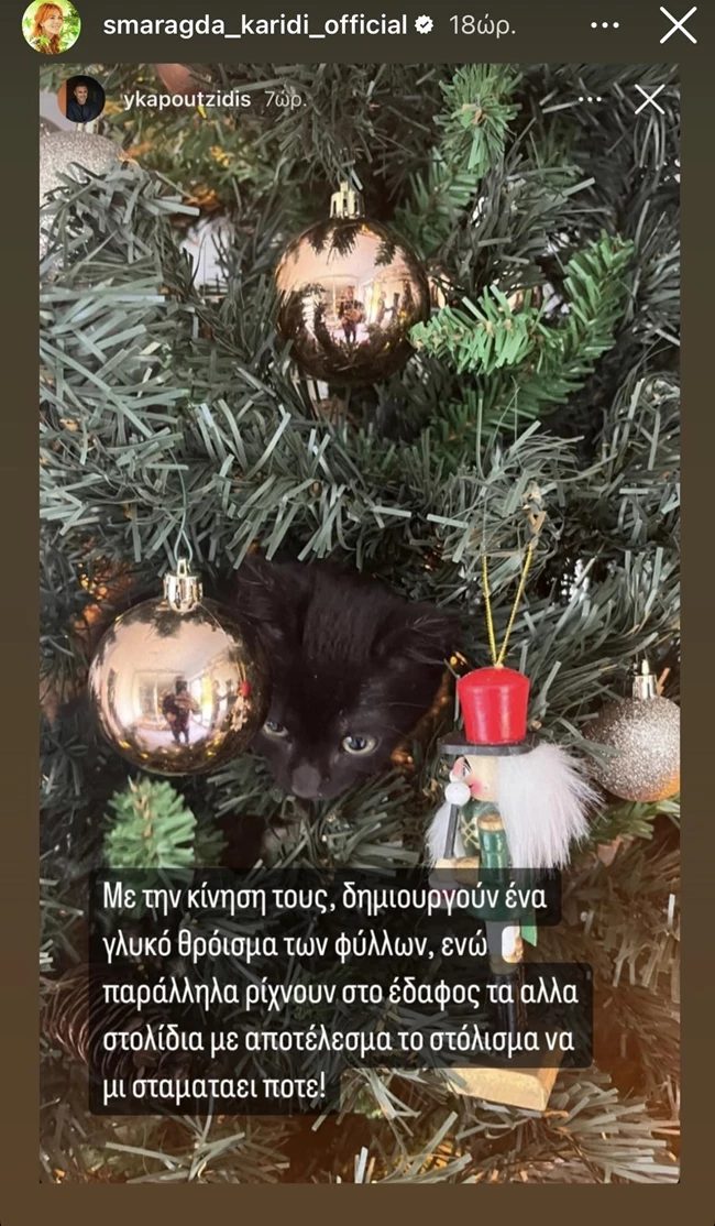Γιώργος Καπουτζίδης | Στόλισε το χριστουγεννιάτικο δέντρο στο σπίτι του στην Αίγινα