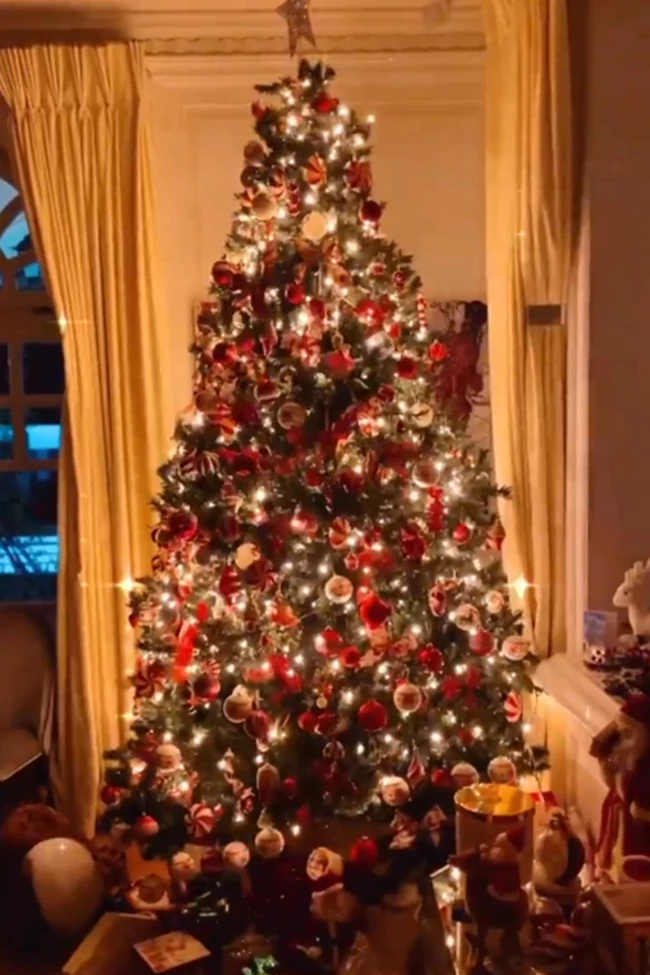 Μαριέττα Χρουσαλά - Λέων Πατίτσας | Στόλισαν το πολυτελές σπίτι τους - Το πανύψηλο χριστουγεννιάτικο δέντρο