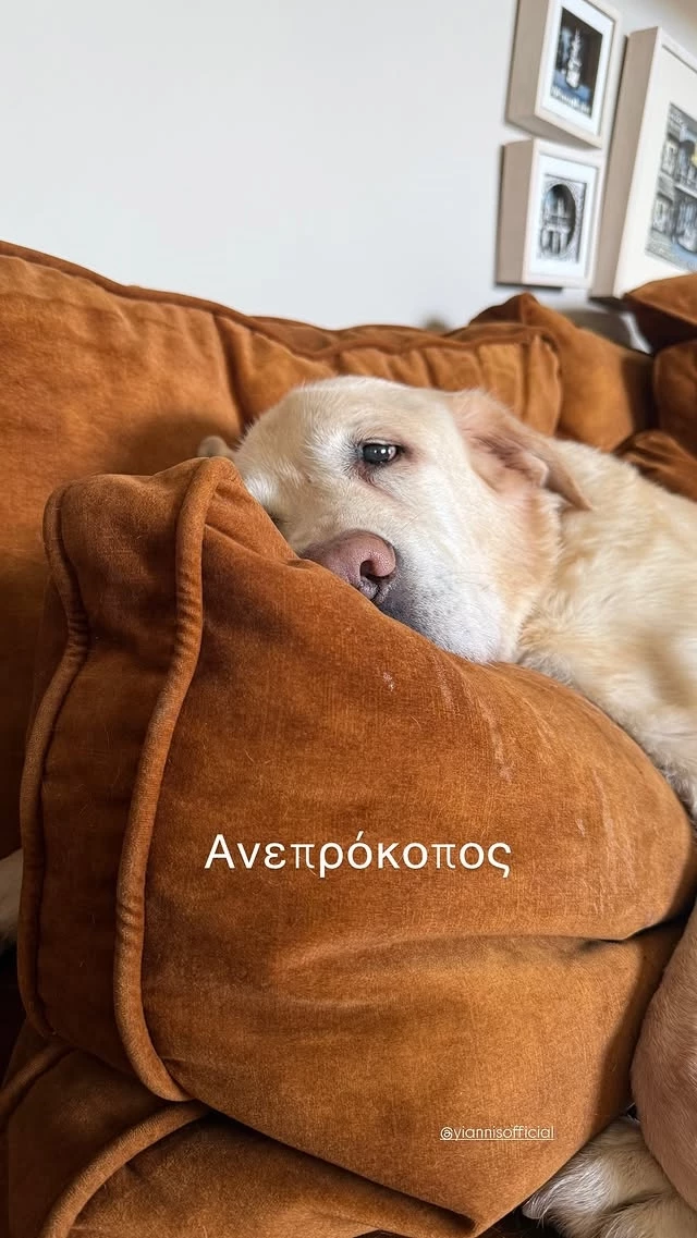 Η Σμαράγδα Καρύδη με τον σκύλο της