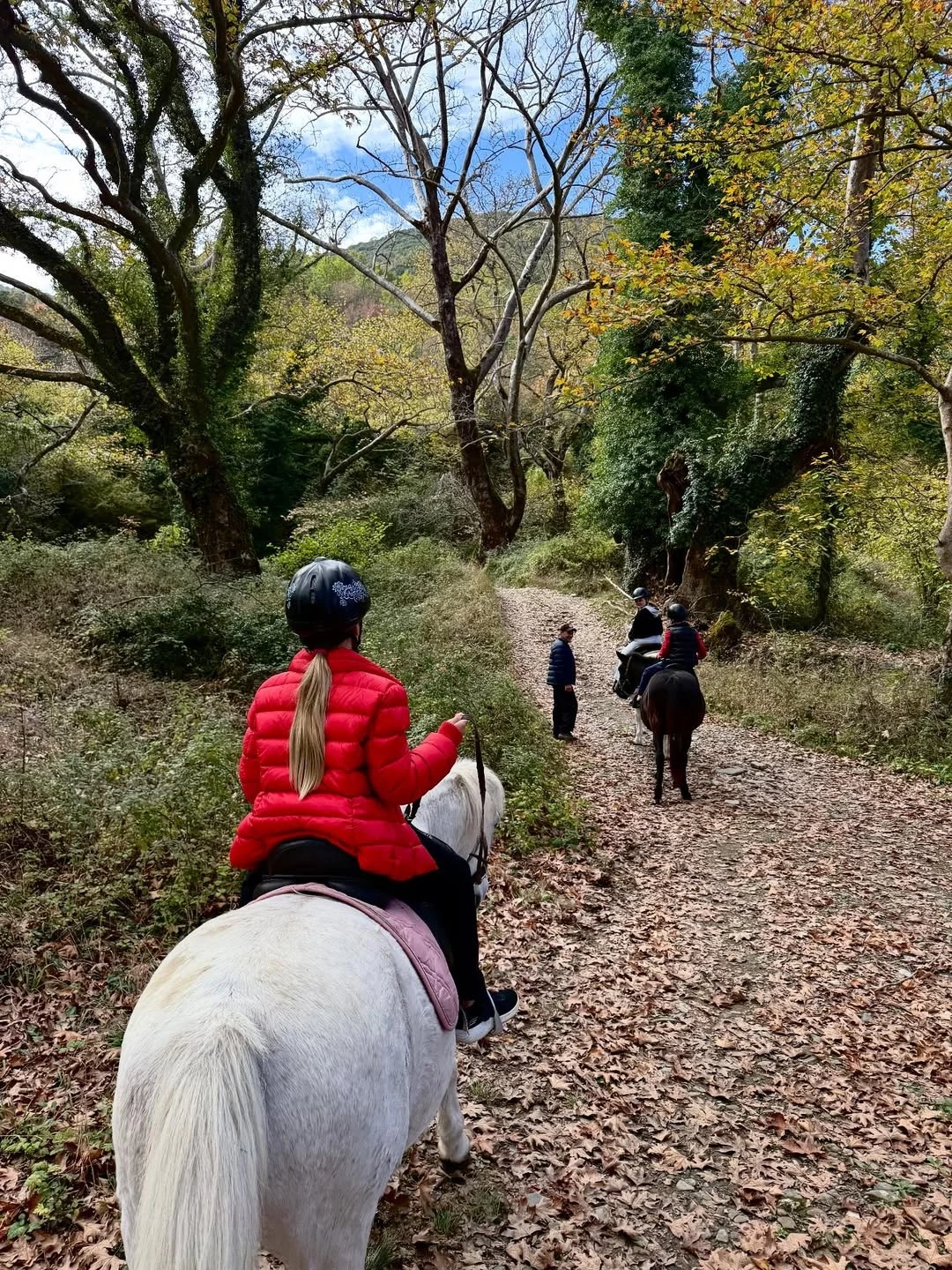 H Ελένη Μενεγάκη στην Ήπειρο