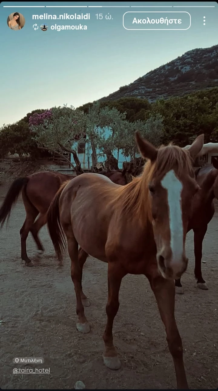 Μελίνα Νικολαΐδη