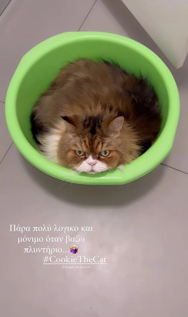 Η Μαρία Βοσκοπούλου βάζει πλυντήριο και αποκαλύπτει ότι έχει...συγκάτοικο