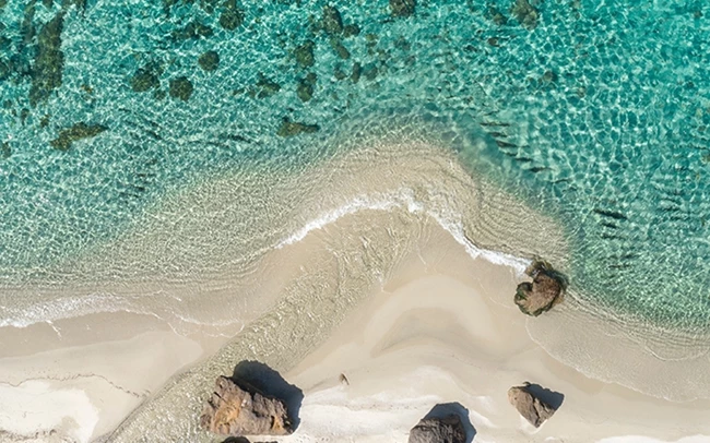 Courtesy of Let's Ferry