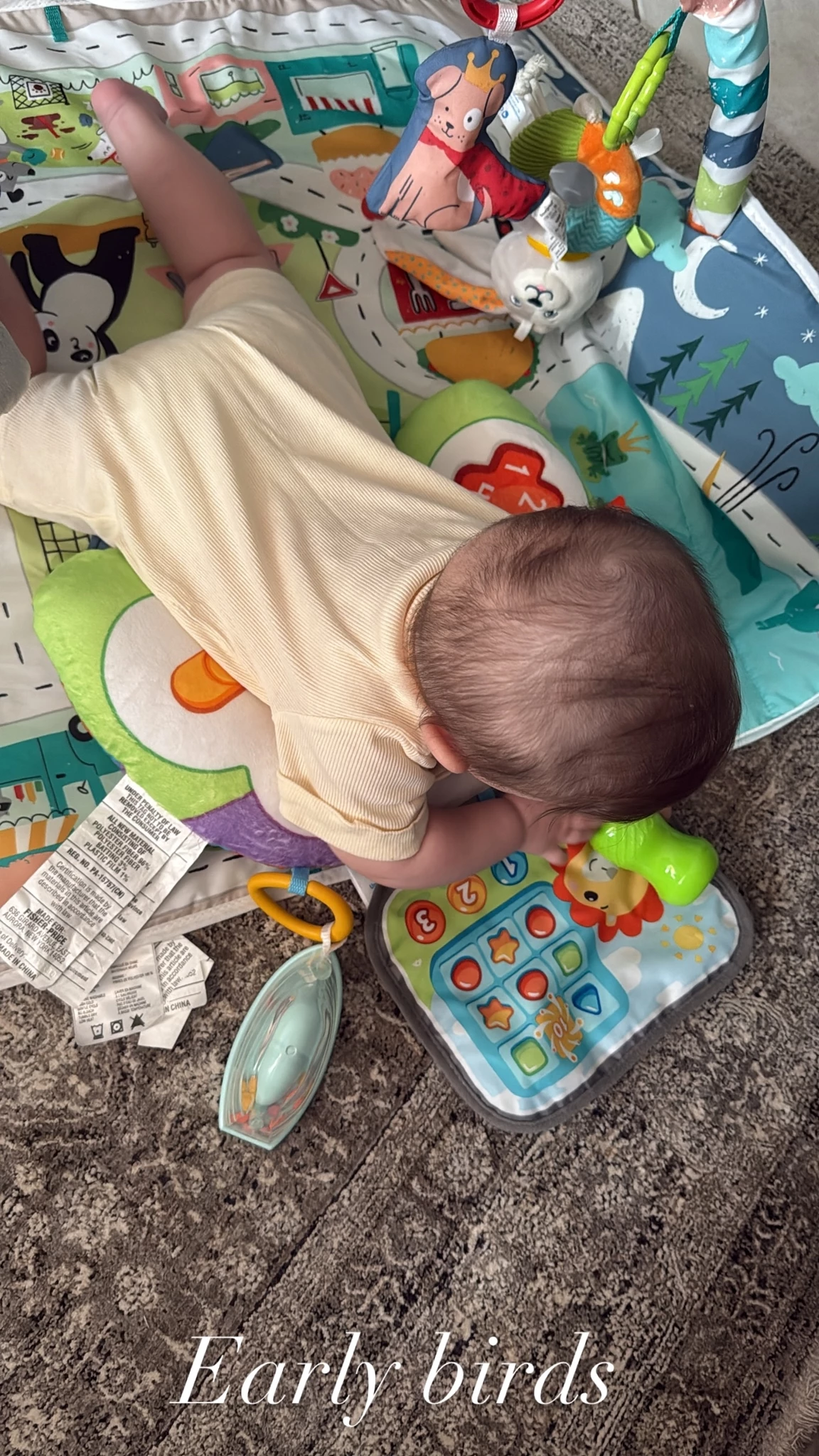 Early birds | Το πρωινό παιχνίδι της Φωτεινής Πετρογιάννη με το μωράκι της