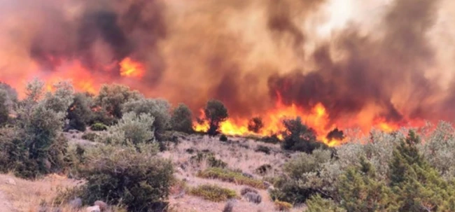 Μάχη με τις φλόγες σε Βοιωτία, Εύβοια, Καβάλα, Κύθνο - Οι εξελίξεις σε όλα τα μέτωπα