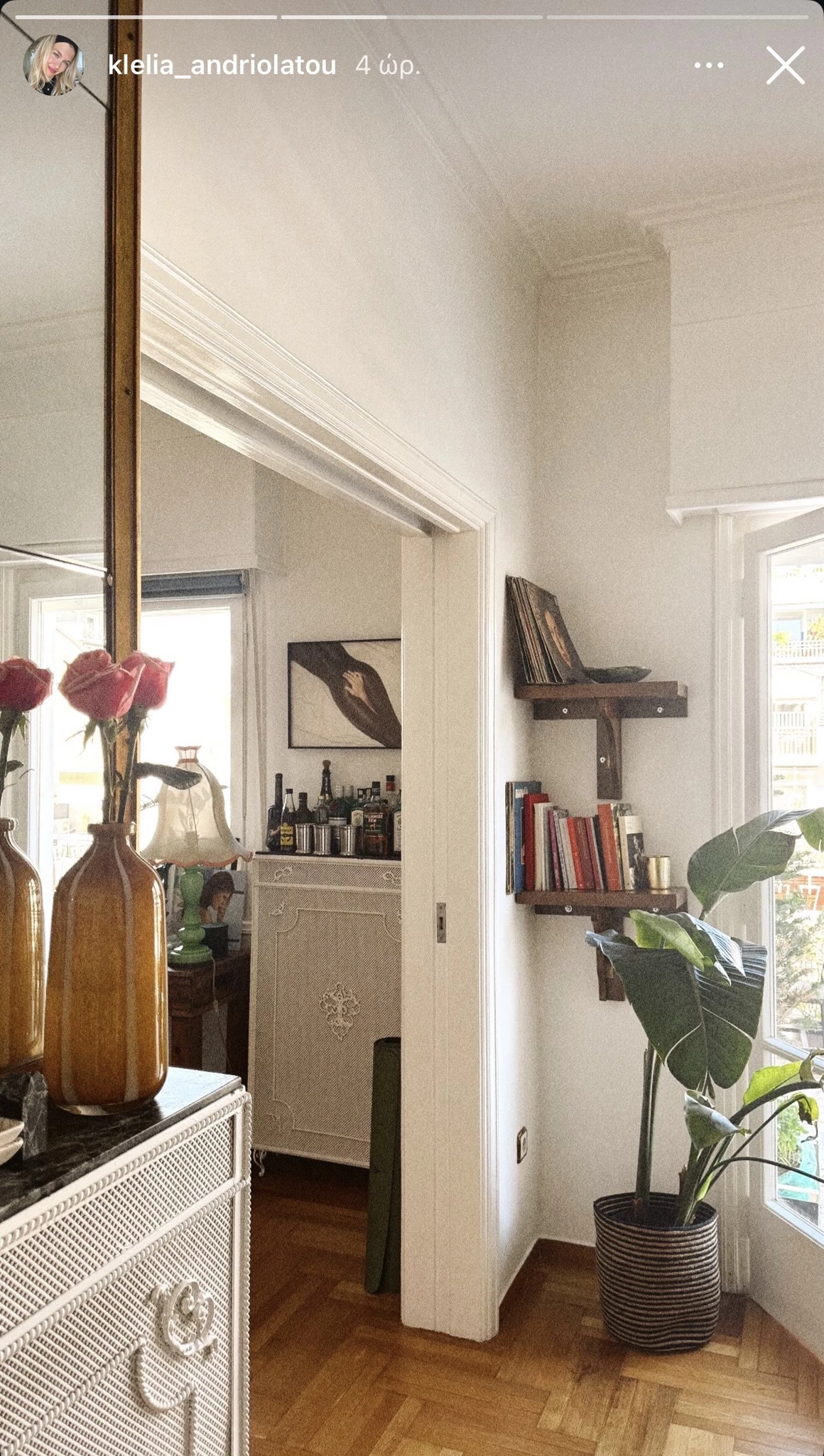 Η "πράσινη" γωνιά της Κλέλιας Ανδριολάτου | Τα φυτά εσωτερικού χώρου που μεταμορφώνουν το σπίτι της