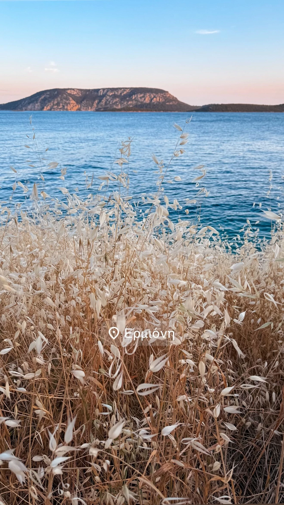 Εριέττα Κούρκουλου Λάτση