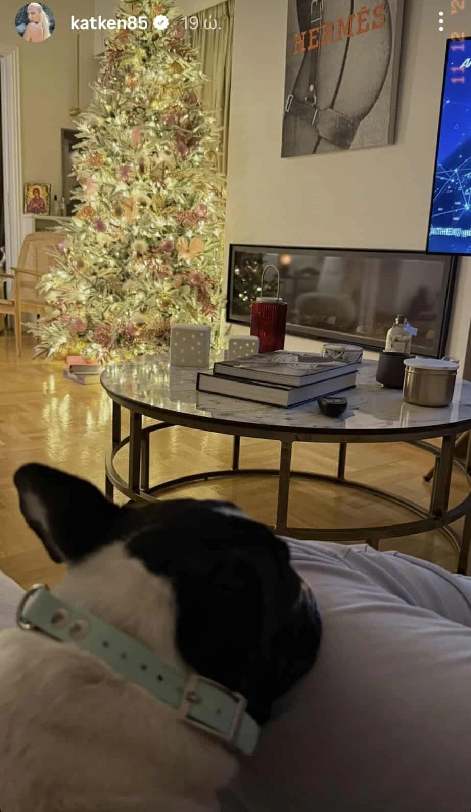 Κατερίνα Καινούργιου