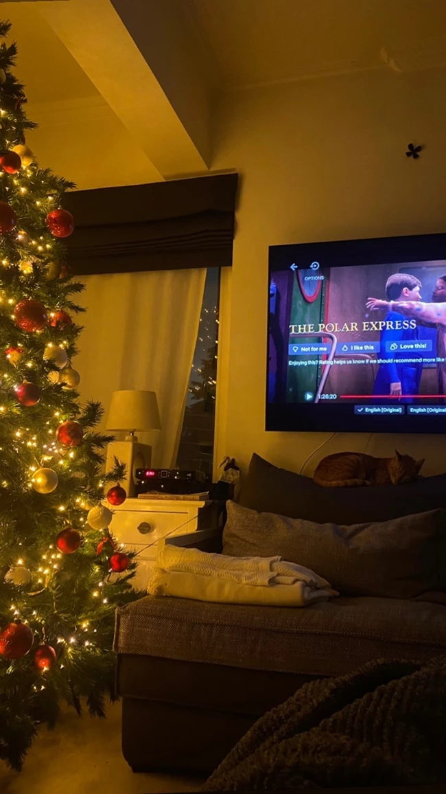 To σαλόνι της Δανάης Λιβιεράτου είναι το απόλυτο χριστουγεννιάτικο spot | To εντυπωσιακό δέντρο και ο άνετος καναπές