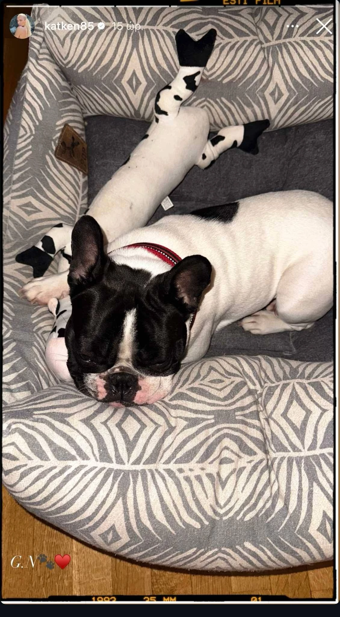 Κατερίνα Καινούργιου | Μας λέει την πιο γλυκιά καληνύχτα και μας κάνει να "λιώνουμε"