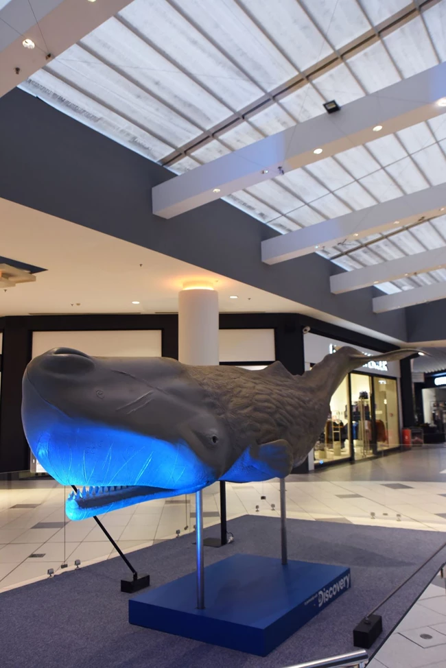 Πλάσματα & Μυστήρια του Βυθού στο Mediterranean Cosmos