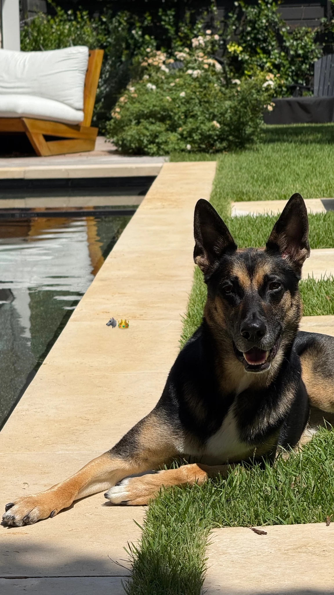 Η παραμυθένια πισίνα της Αμαλίας Κωστοπούλου στο Τέξας | Σε minimal γραμμές η μονοκατοικία που ζει με τον αρραβωνιαστικό της