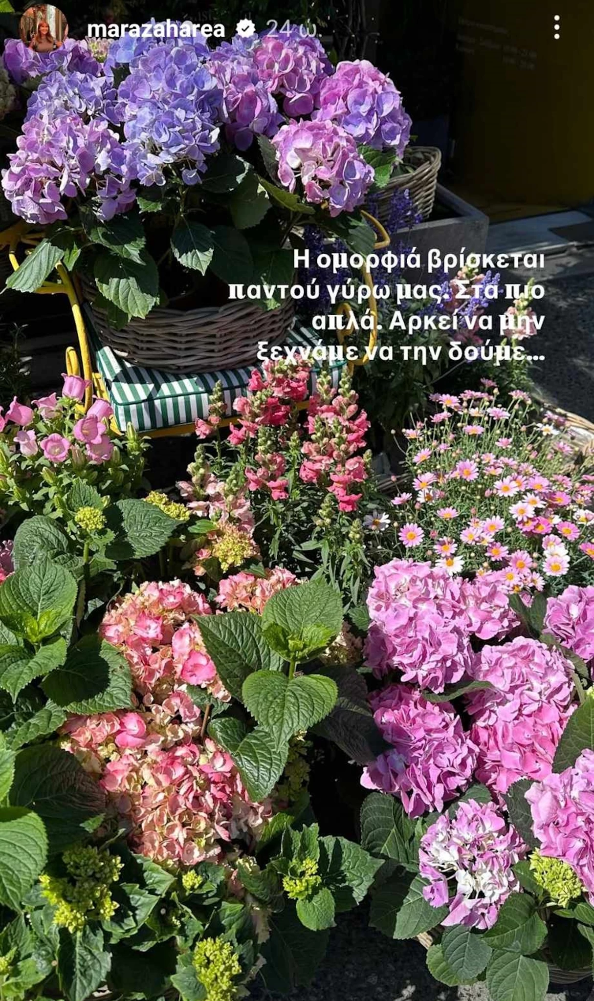 "Η ομορφιά βρίσκεται παντού γύρω μας" | Το μήνυμα όλο νόημα της Μάρας Ζαχαρέα
