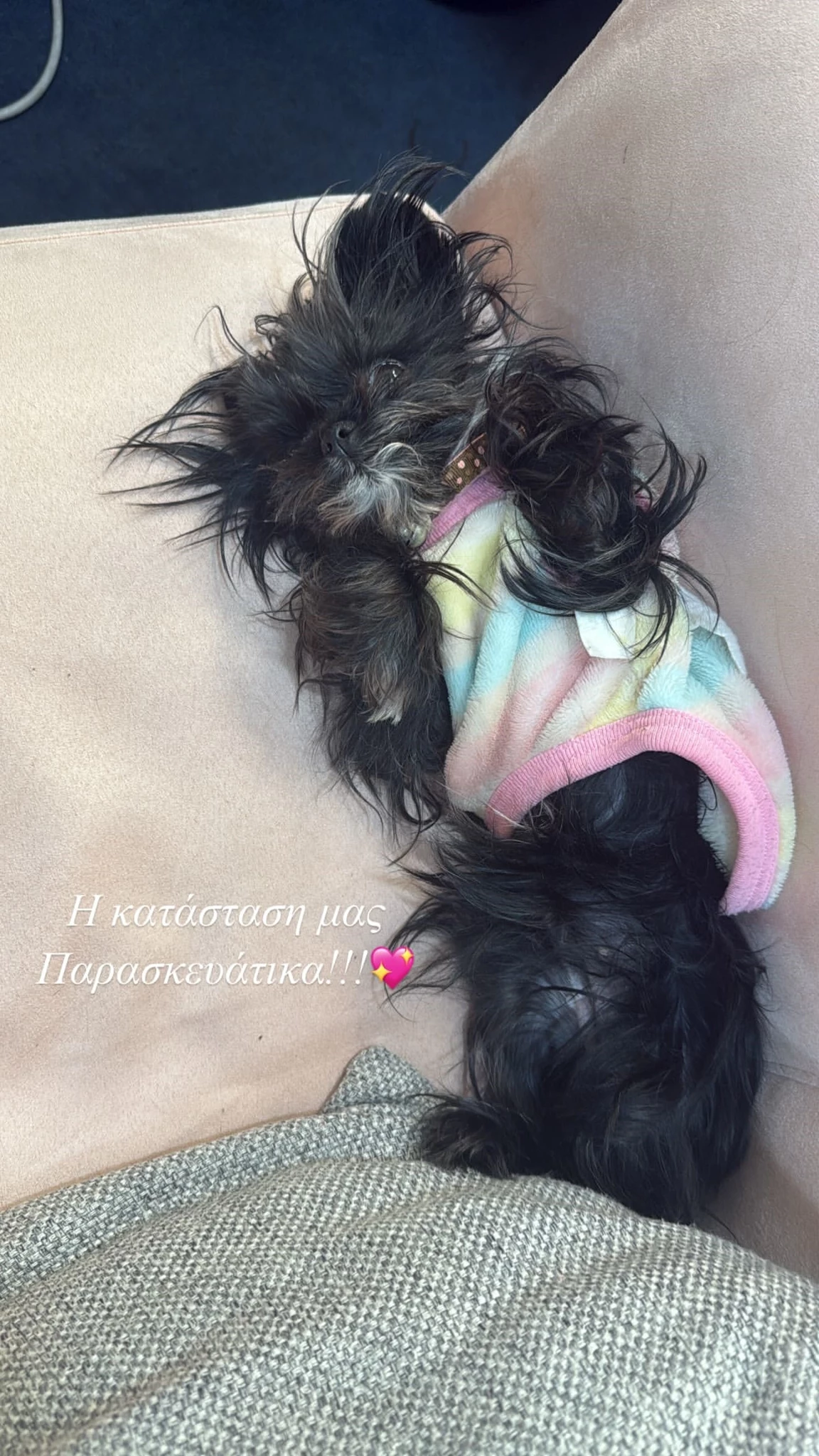 Ελένη Τσολάκη