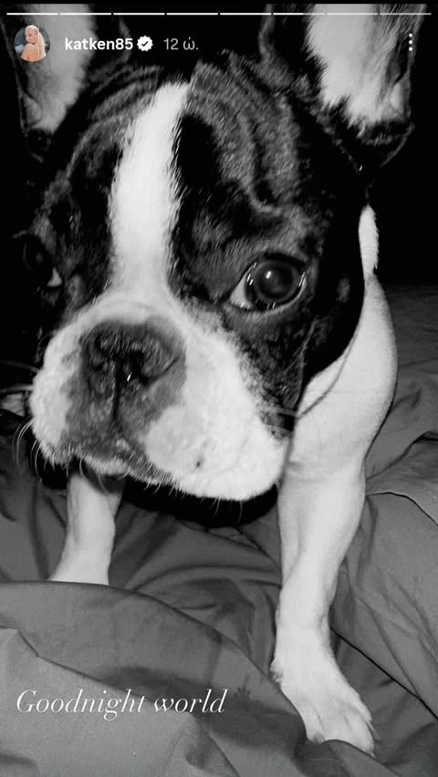 Το σκυλάκι της Κατερίνας Καινούργιου